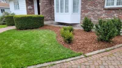 fresh mulch and edging in St John's