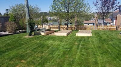 lawn mowing Paradise, St John's