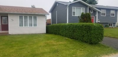 hedge trimming in Mount Pearl