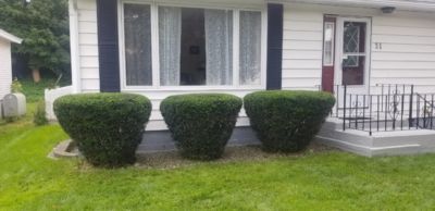 Professional trimming of shrubs in St John's