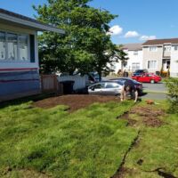 Natures Friend Lawn Care svg+xml,%3Csvg%20xmlns%3D%22http%3A%2F%2Fwww.w3 Lawn Care