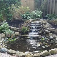 Natures Friend Lawn Care svg+xml,%3Csvg%20xmlns%3D%22http%3A%2F%2Fwww.w3 Gardening