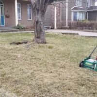 Natures Friend Lawn Care svg+xml,%3Csvg%20xmlns%3D%22http%3A%2F%2Fwww.w3 Lawn Care